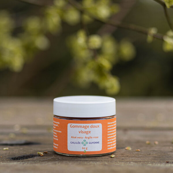 Gommage Doux Visage – Galilée Guyenne | Exfoliation naturelle et masque purifiant pour une peau éclatante – Image 2